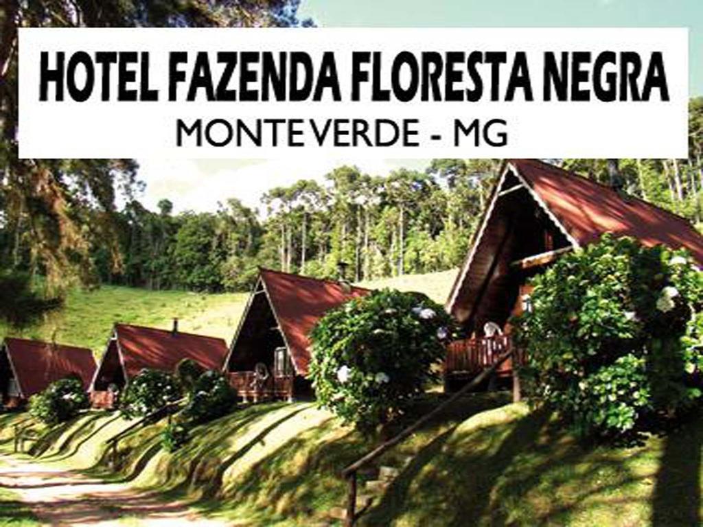 Hotel Fazenda Floresta Negra Monte Verde  Exterior foto
